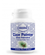 Ersağ Cüce Palmiye Saw Palmetto